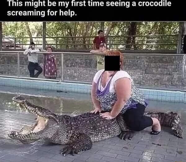Is might be my first time seeing a crocodile ECICETTR I TN
