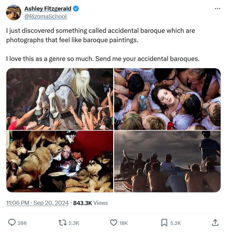 Ashley Fitzger Rizomaschool 1just discovered something called accidental baroque which are photographs that feel like baroque paintings 1love this as a genre so much Send me your accidental baroques 1106 PM Sep 202024 8433K Views 28 W Q R s2x A