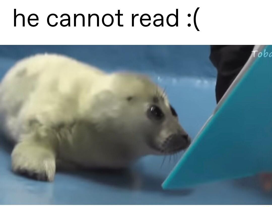 he cannot read 1 y