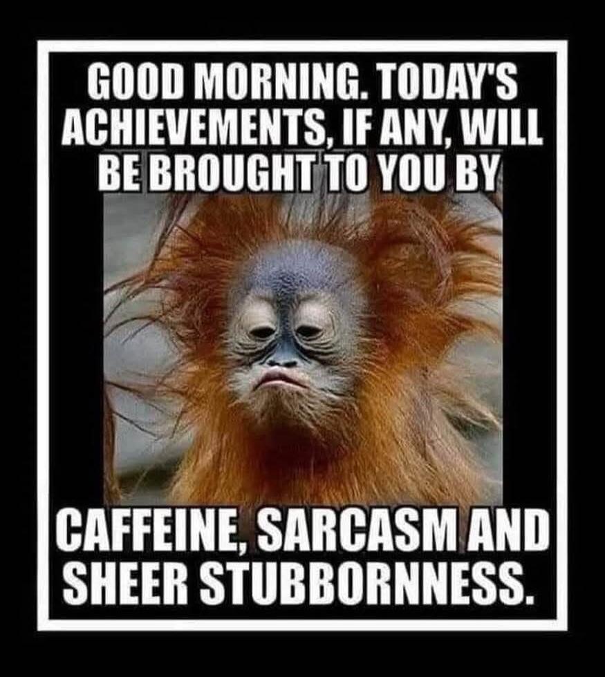 GOOD MORNING. TODAY'S ACHIEVEMENTS, IF ANY, WILL BE BROUGHT TO YOU BY CAFFEINE, SARCASM AND SHEER STUBBORNNESS.