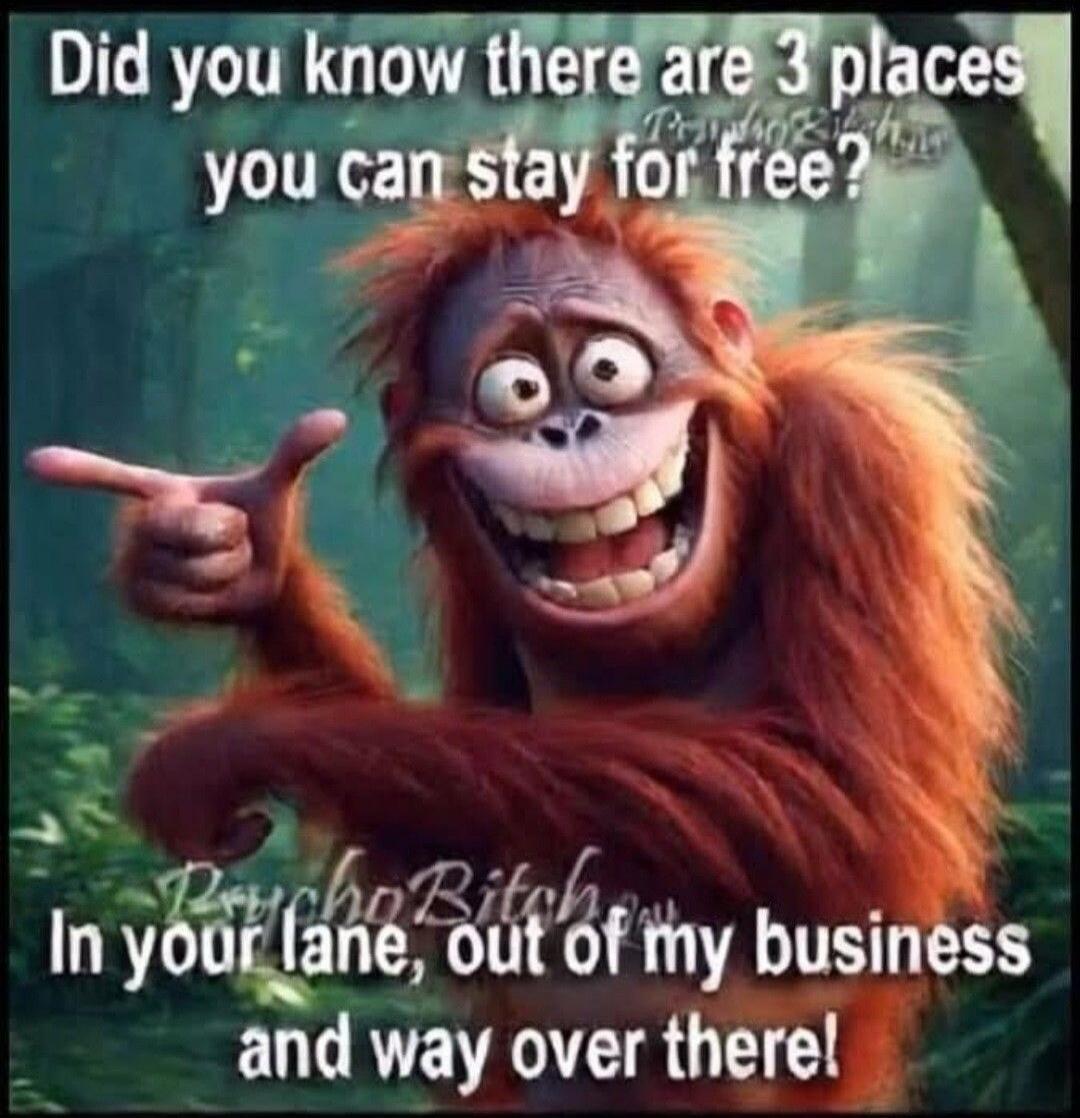 Did you know there are 3 places you can stay for free? In your lane, out of my business and way over there!