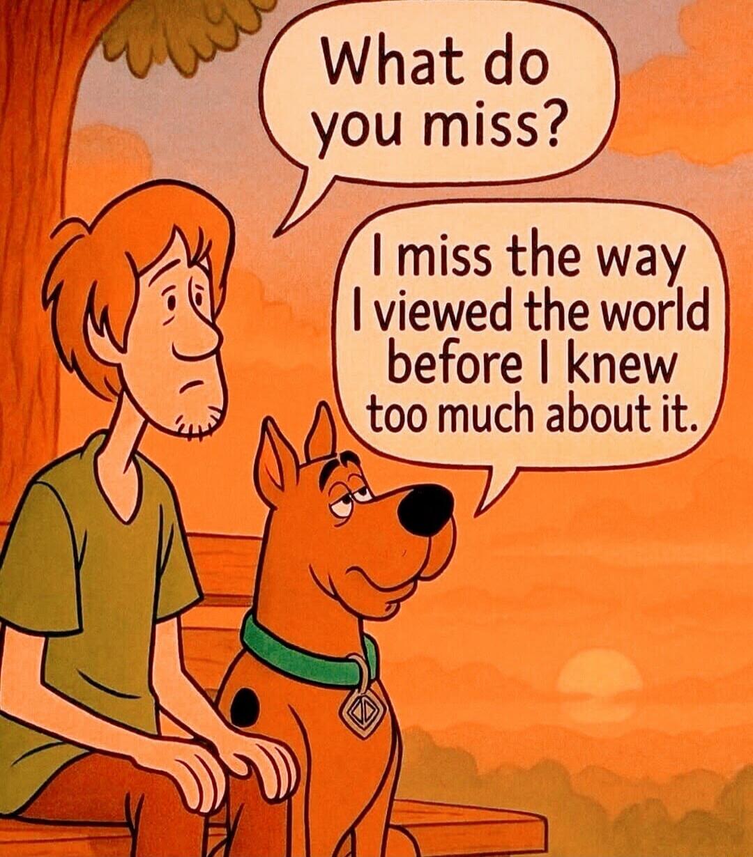 What do you miss? I miss the way I viewed the world before I knew too much about it.