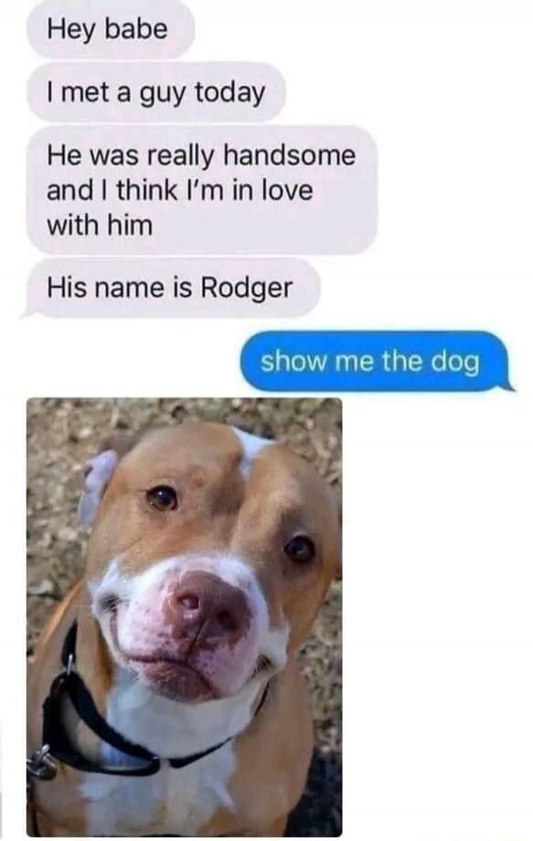 Hey babe
I met a guy today
He was really handsome and I think I’m in love with him
His name is Rodger
show me the dog