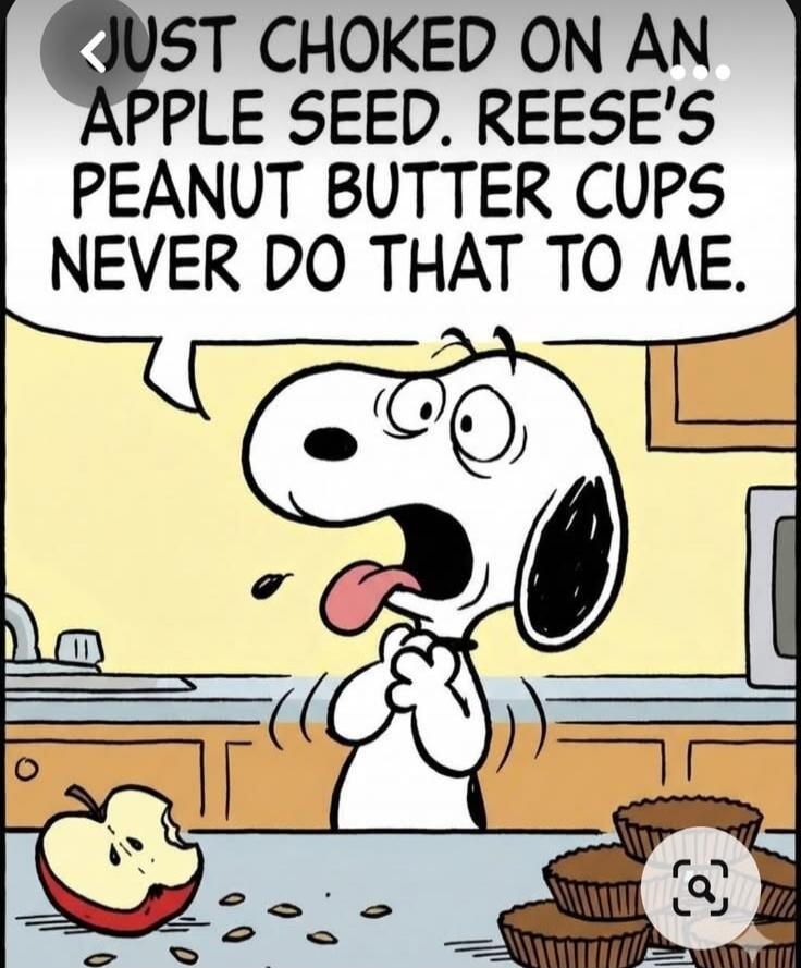 JUST CHOKED ON AN APPLE SEED. REESE'S PEANUT BUTTER CUPS NEVER DO THAT TO ME.