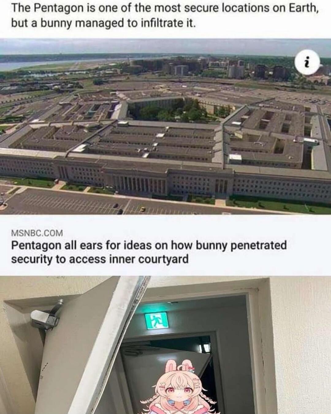 The Pentagon is one of the most secure locations on Earth but a bunny managed to infiltrate it MsNBC Pentagon all ears for ideas on how bunny penetrated security to access inner courtyard