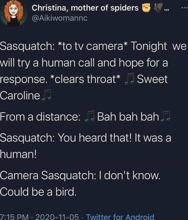 a Christina mother of spiders Aikiwomannc Sasquatch to tv camera Tonight we WIRTaYRNalasrIaWor1 KTale NaleloloR o o response clears throat Sweet OF ol gT W8 From a distance Bah bah bah SER UL e g M eI pYT e Rig 1N I QI human Camera Sasquatch dont know Could be a bird 715 PM 2020 11 05 Twitter for Android
