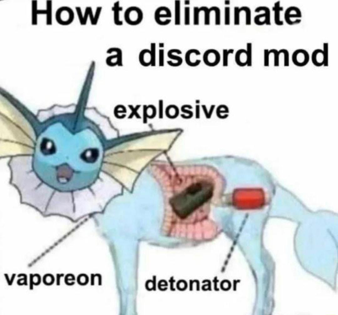 How to eliminate a discord mod explosive F vaporeon L detonatr b