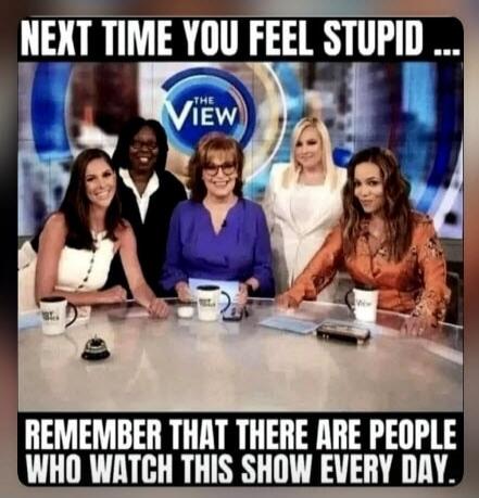 NEXT TIME YOU FEEL STUPID ... REMEMBER THAT THERE ARE PEOPLE WHO WATCH THIS SHOW EVERY DAY. THE VIEW
