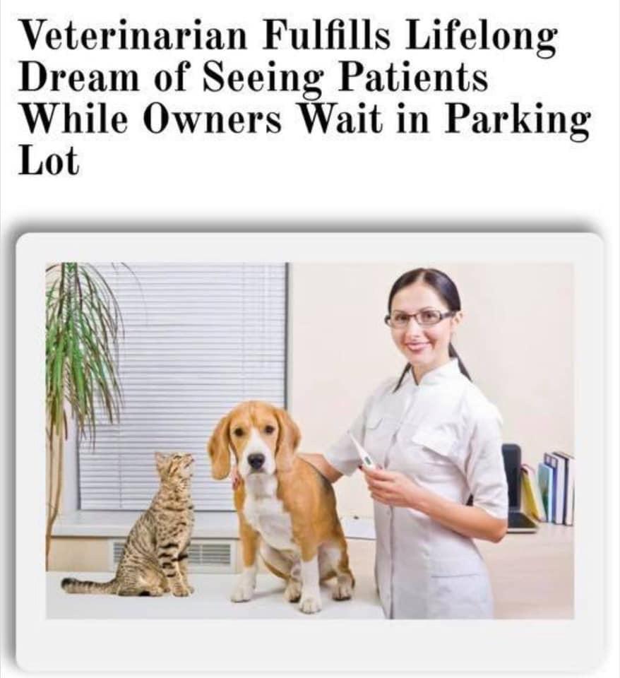Veterinarian Fulfills Lifelong Dream of Seeing Patients While Owners Wait in Parking Lot
