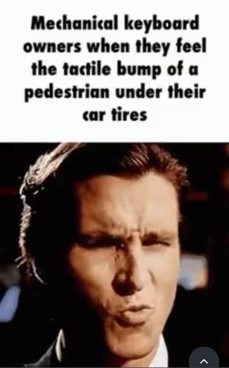 Mechanical keyboard owners when they feel the tactile bump of a pedestrian under their car tires
