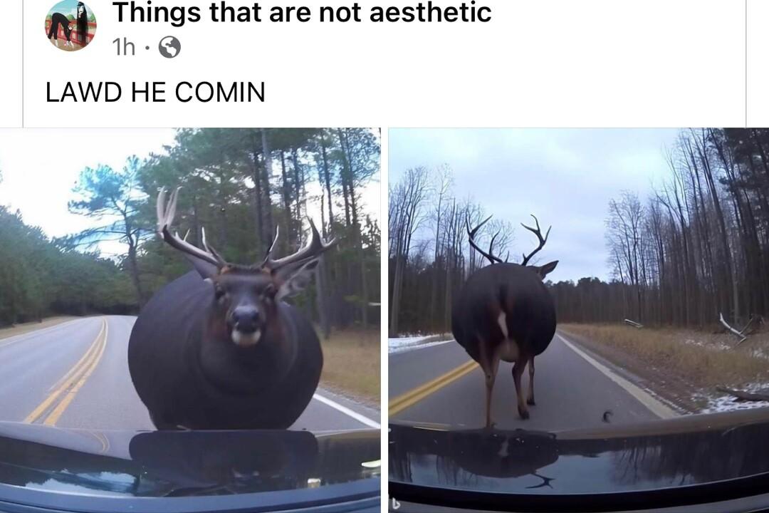 Things that are not aesthetic h LAWD HE COMIN