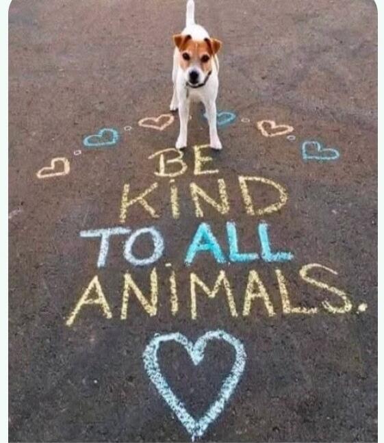 BE KIND TO ALL ANIMALS.