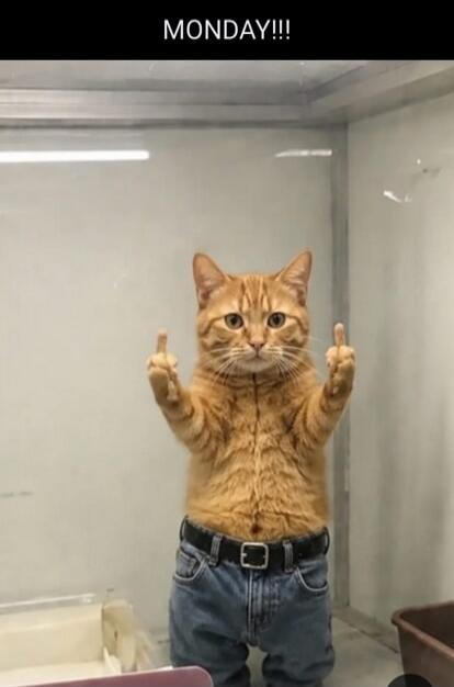 MONDAY!!!