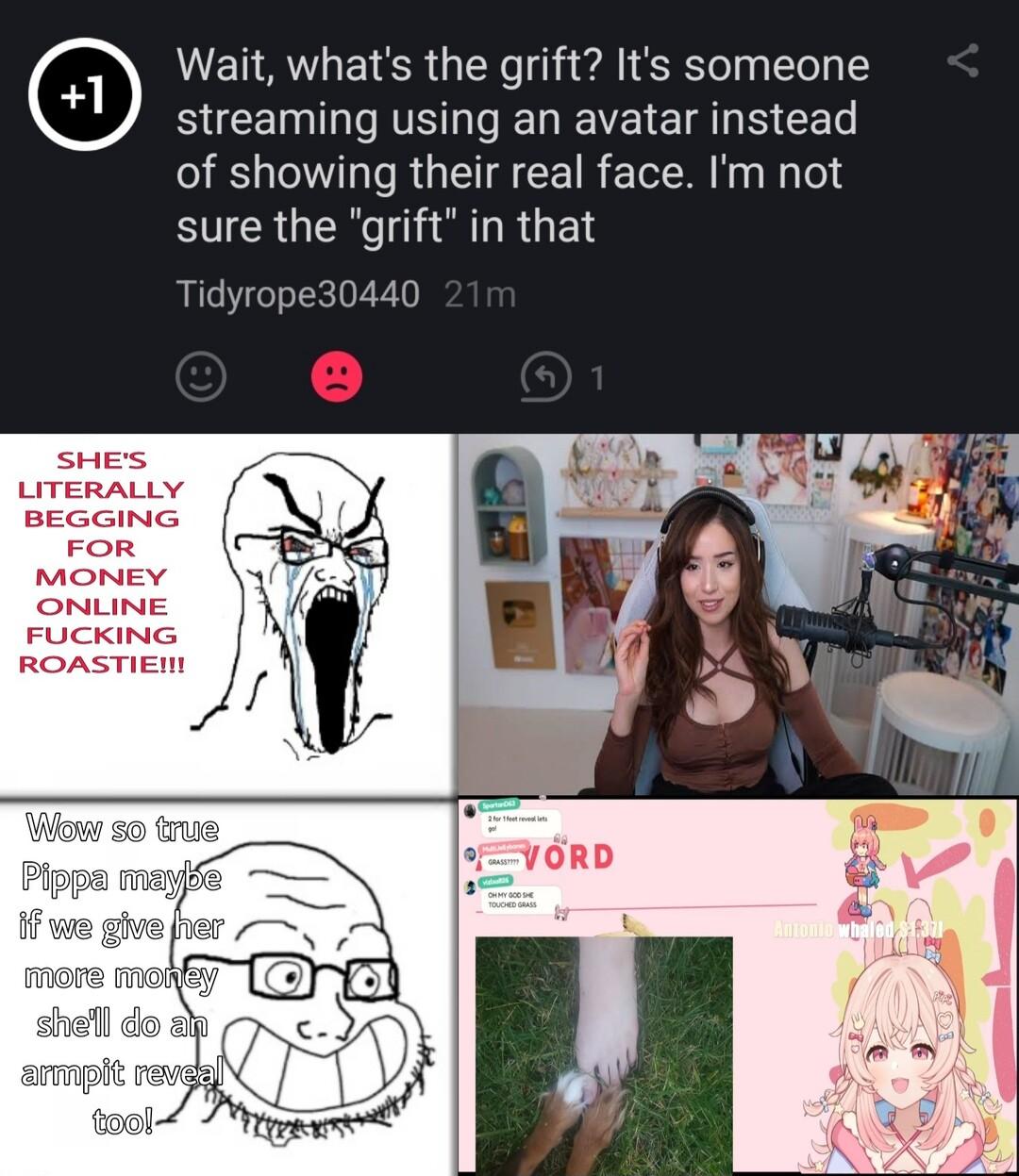 Wait whats the grift Its someone streaming using an avatar instead of showing their real face Im not sure the grift in that Tidyrope30440
