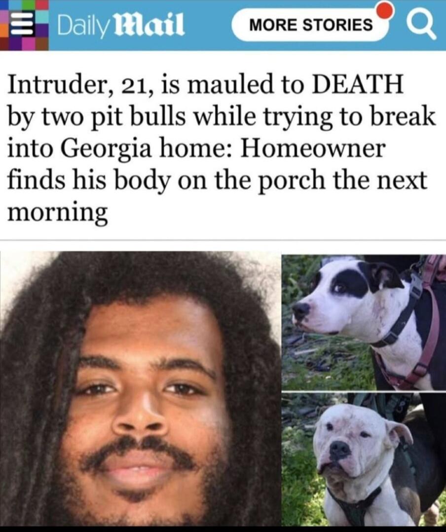 Mail MORE STORIES Intruder 21 is mauled to DEATH by two pit bulls while trying to break into Georgia home Homeowner finds his body on the porch the next morning