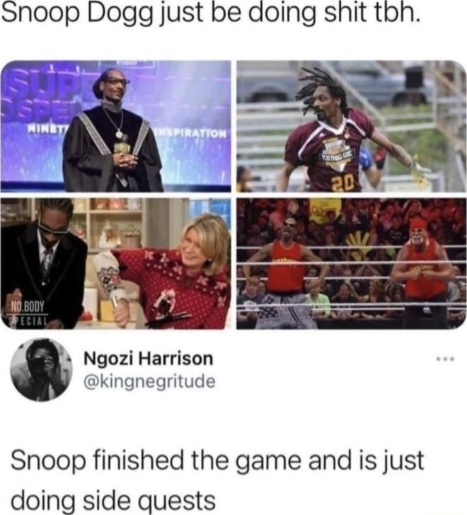 Snoop Dogg Just be doing shit tbn B Ngozi Harrison Dkingnegritude Snoop finished the game and is just doing side quests