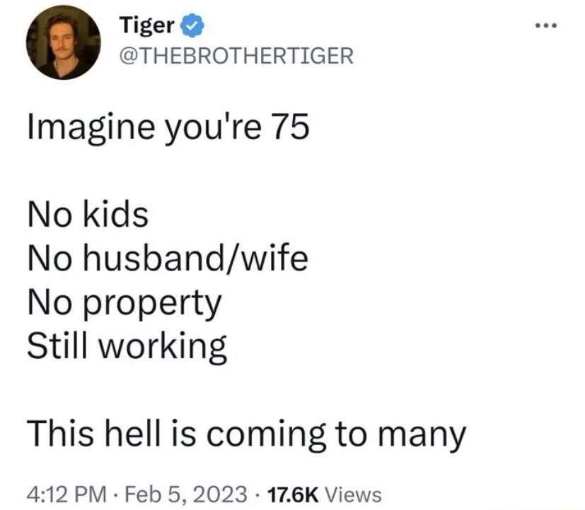 Tiger THEBROTHERTIGER Imagine youre 75 No kids No husbandwife No property Still working This hell is coming to many 412 PM Feb 5 2023 176K Views