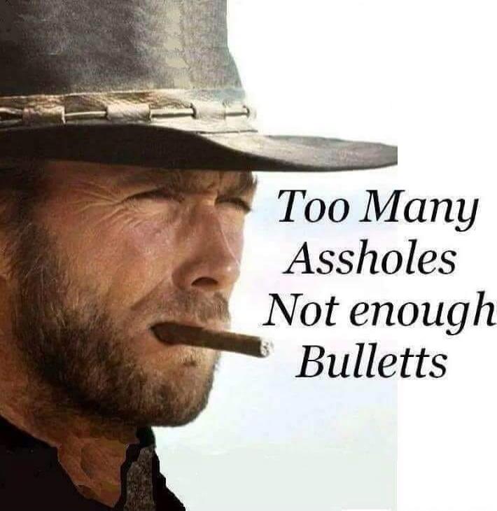 Too Many Assholes Not enough Bulletts