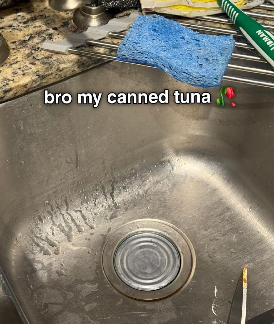 bro my canned tuna 🍅🌶️
