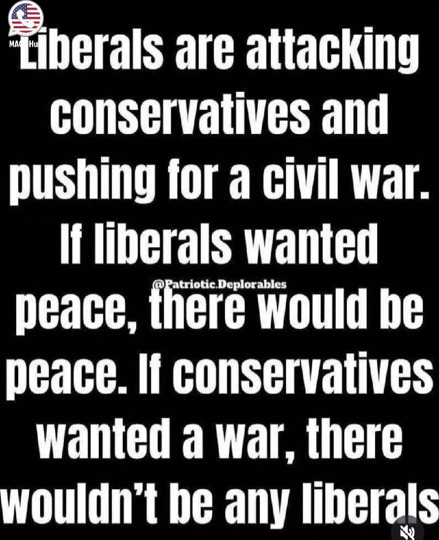 Liberals are attacking conservatives and pushing for a civil war. If liberals wanted peace, there would be peace. If conservatives wanted a war, there wouldn’t be any liberals