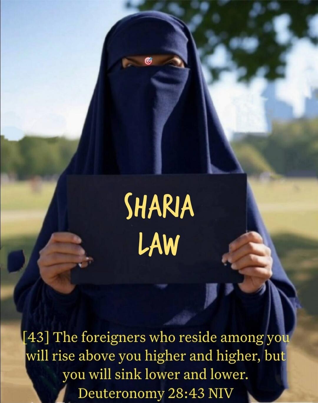 SHARA LAW

[43] The foreigners who reside among you will rise above you higher and higher, but you will sink lower and lower. Deuteronomy 28:43 NIV