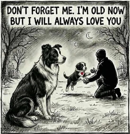 DON'T FORGET ME. I'M OLD NOW BUT I WILL ALWAYS LOVE YOU
