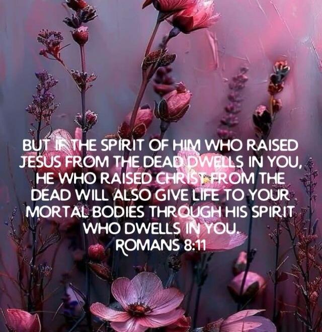 BUT IF THE SPIRIT OF HIM WHO RAISED JESUS FROM THE DEAD DWELLS IN YOU, HE WHO RAISED CHRIST FROM THE DEAD WILL ALSO GIVE LIFE TO YOUR MORTAL BODIES THROUGH HIS SPIRIT WHO DWELLS IN YOU. ROMANS 8:11
