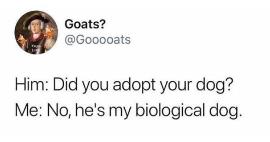 Goats Gooooats Him Did you adopt your dog Me No hes my biological dog