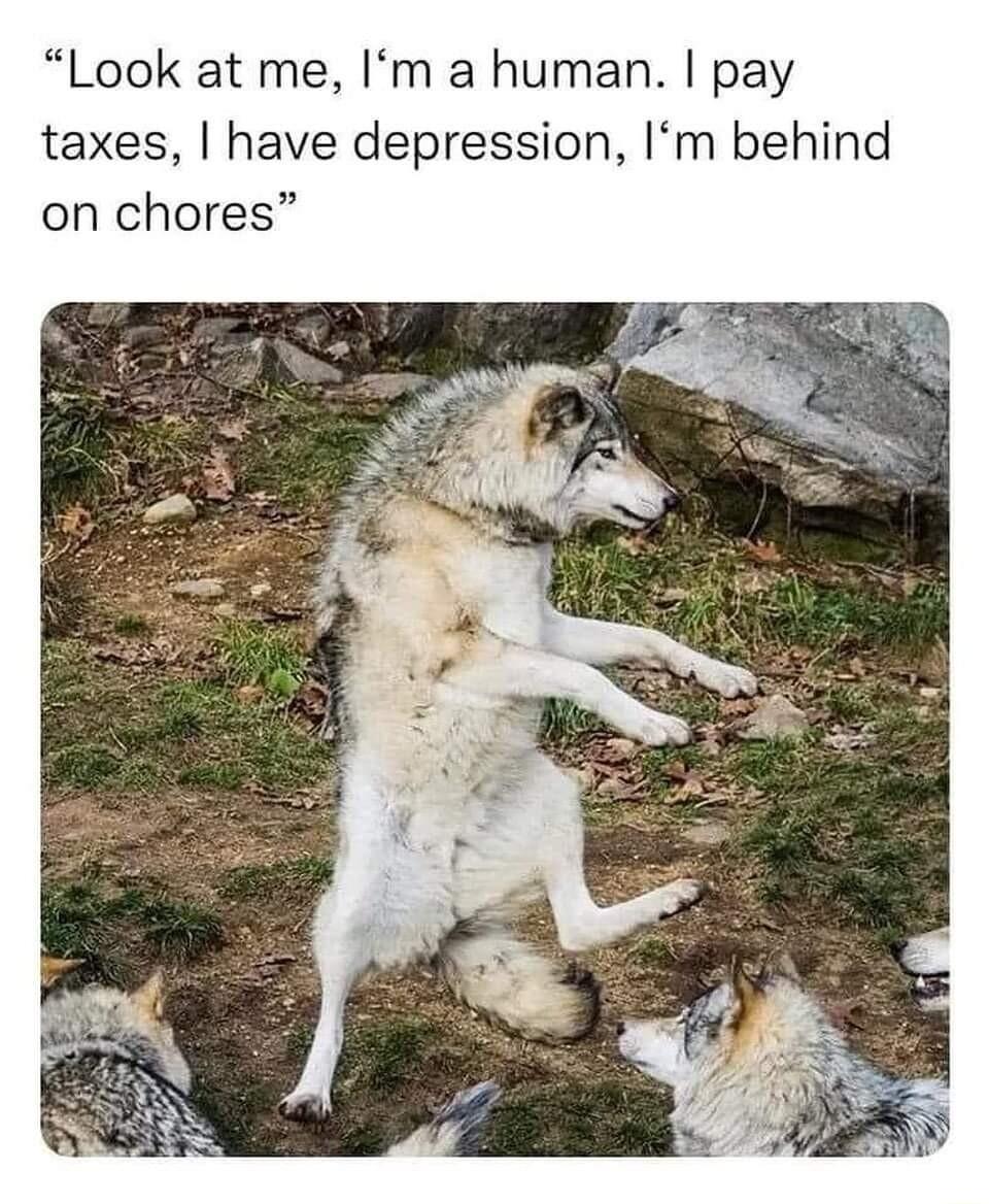 Look at me Im a human pay taxes have depression Im behind on chores