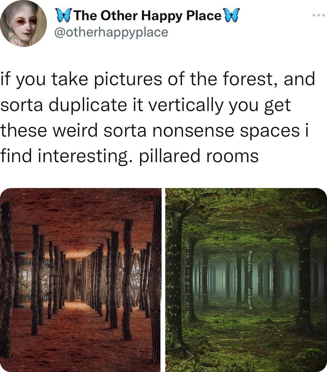 W The Other Happy Place W otherhappyplace if you take pictures of the forest and sorta duplicate it vertically you get hese weird sorta nonsense spaces i ind interesting pillared rooms LI