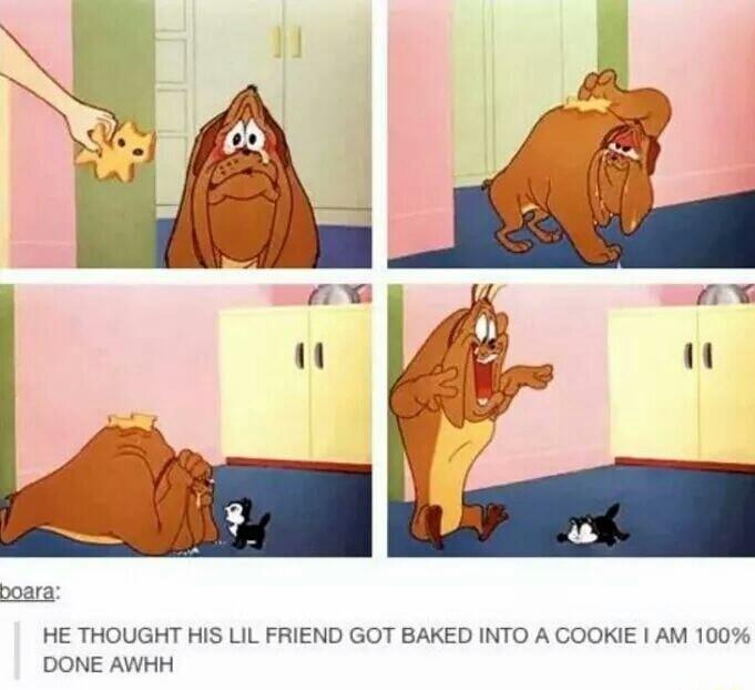 poara HE THOUGHT HIS LIL FRIEND GOT BAKED INTO A GOOKIE AM 100 DONE AWHH