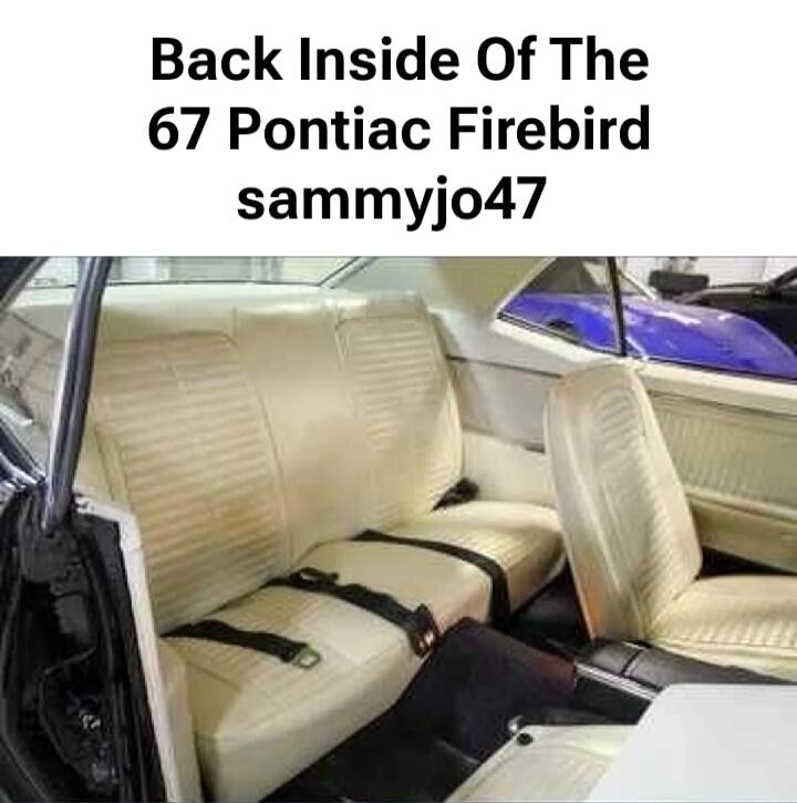 Back Inside Of The 67 Pontiac Firebird sammyjo47