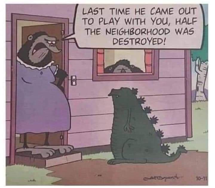 LAST TIME HE CAME OUT TO PLAY WITH YoU HALF THE NEIGHBORHOOD WAS DESTROYED H