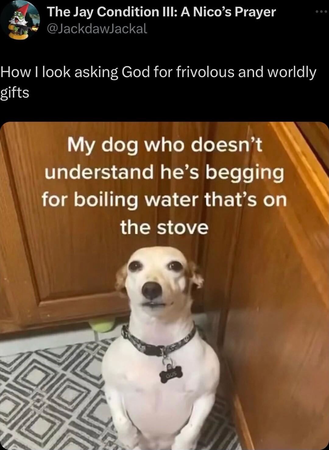 The Jay Condition Ill A Nicos Prayer 77 il JET e I ET How look asking God for frivolous and worldly gifts LY T RV Tl oTH1 e 4 understand hes begging for boiling water thats on the stove