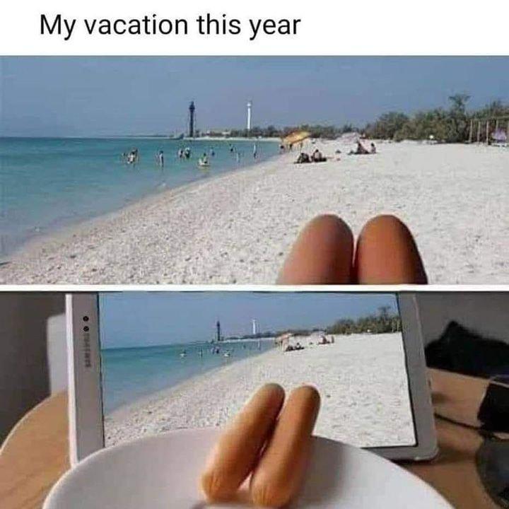 My vacation this year