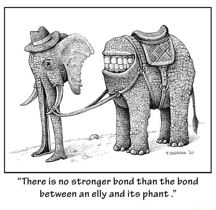There is no stronger bond than the bond between an elly and its phant