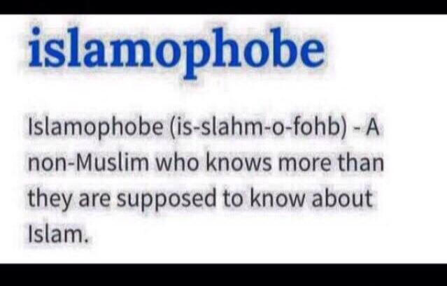 islamophobe (is-slahm-o-fohb) - A non-Muslim who knows more than they are supposed to know about Islam.