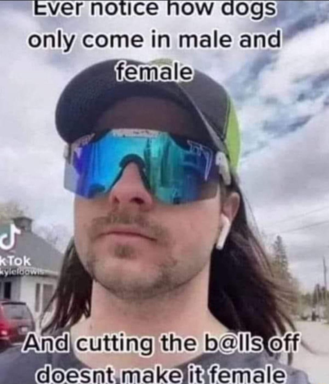 ever notice now dogs only come in male and fmale r iAndcutting the b i doesntmakelitifemales