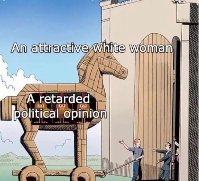 IV An eiracive e womenl y l ATl A retarded AN political opinion R 2