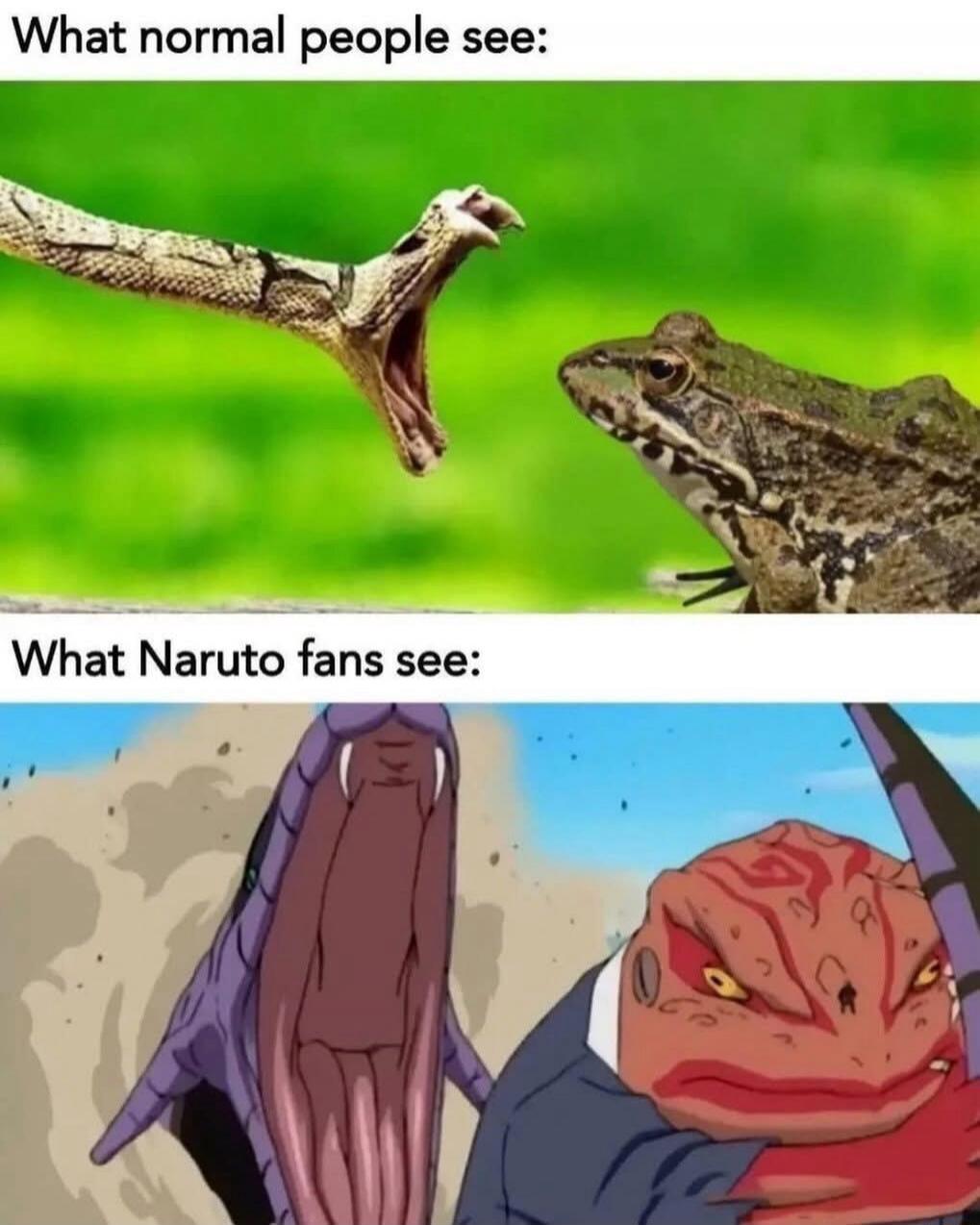 What normal people see: What Naruto fans see: A meme comparing a real snake and frog to the Naruto characters Manda and Gamabunta.