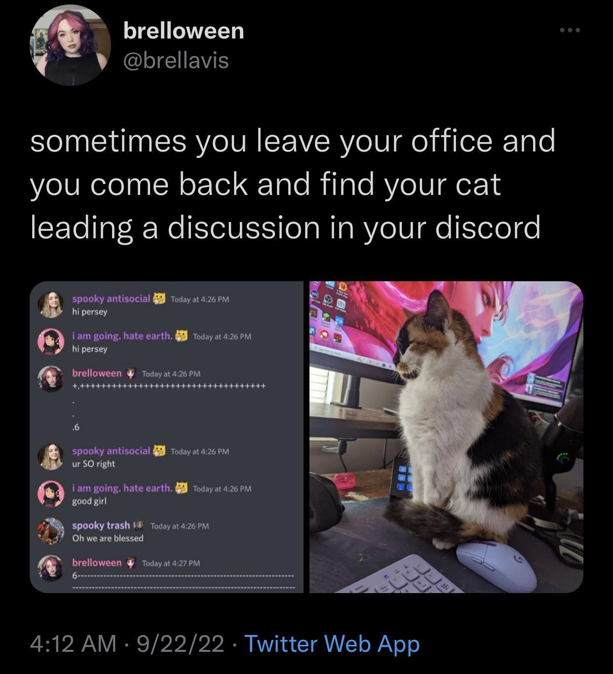 brelloween SIEIENS sometimes you leave your office and you come back and find your cat leading a discussion in your discord o Tl e Lam i et B s bt TR S eonns B S 412 AM 92222 Twitter Web App