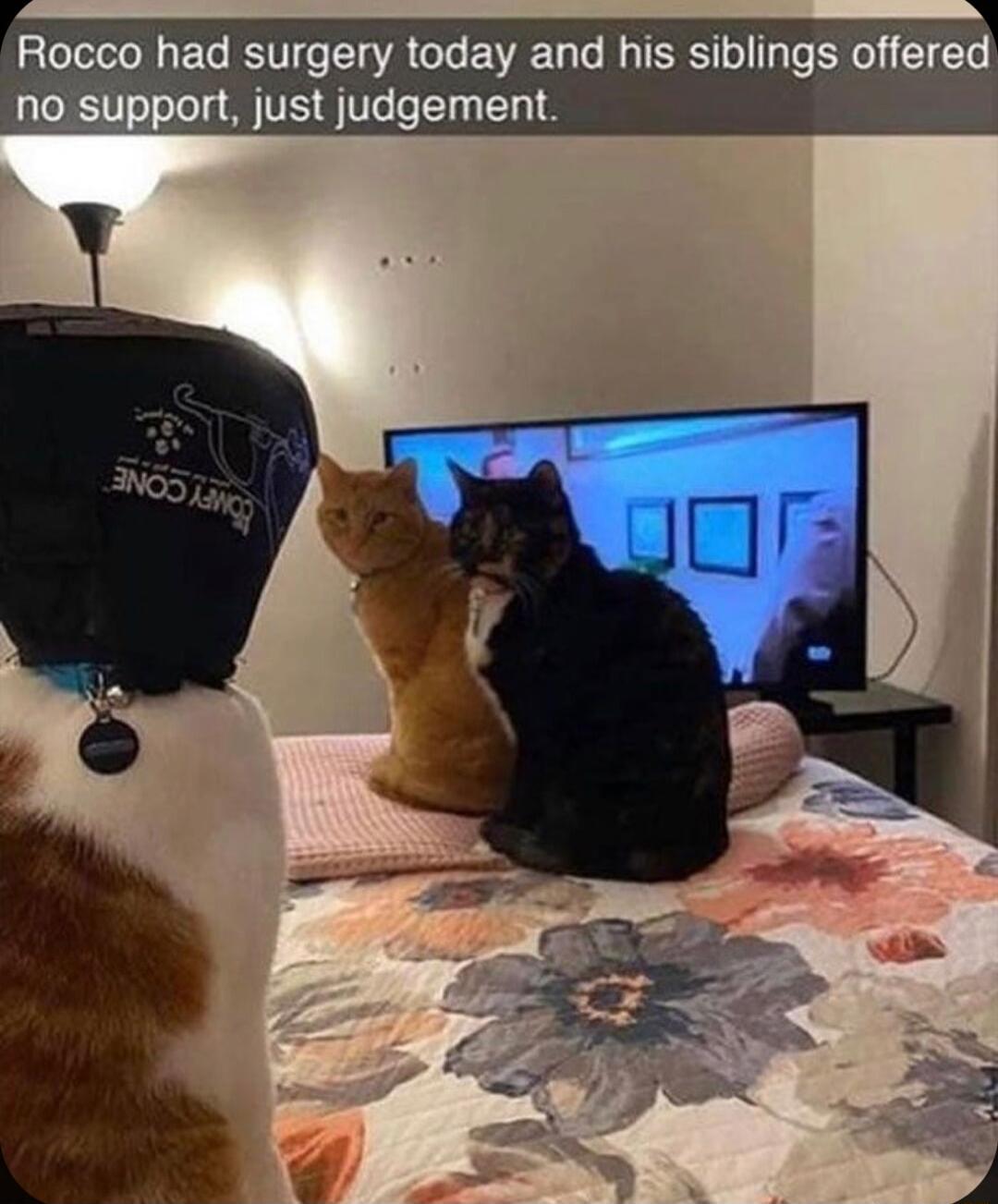 had surgery today and his siblings offered just judgement