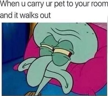 en u carry ur pet to your rool and it walks out
