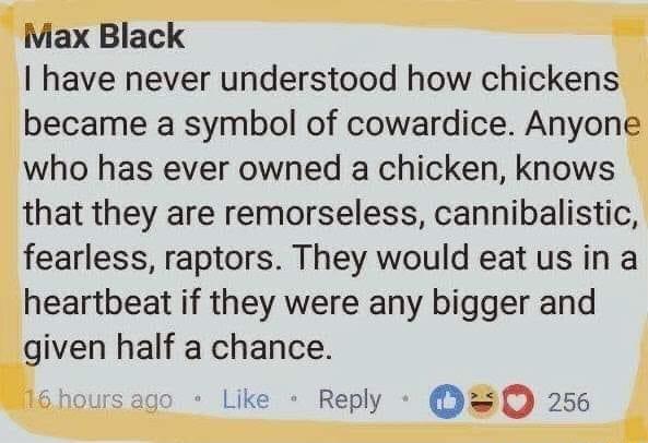 iMax Black have never understood how chickens became a symbol of cowardice Anyone who has ever owned a chicken knows that they are remorseless cannibalistic fearless raptors They would eat us in a heartbeat if they were any bigger and given half a chance Like Reply 256