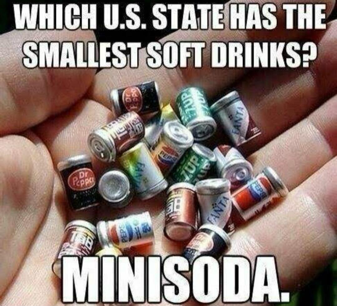 WHICH U.S. STATE HAS THE SMALLEST SOFT DRINKS? MINISODA.