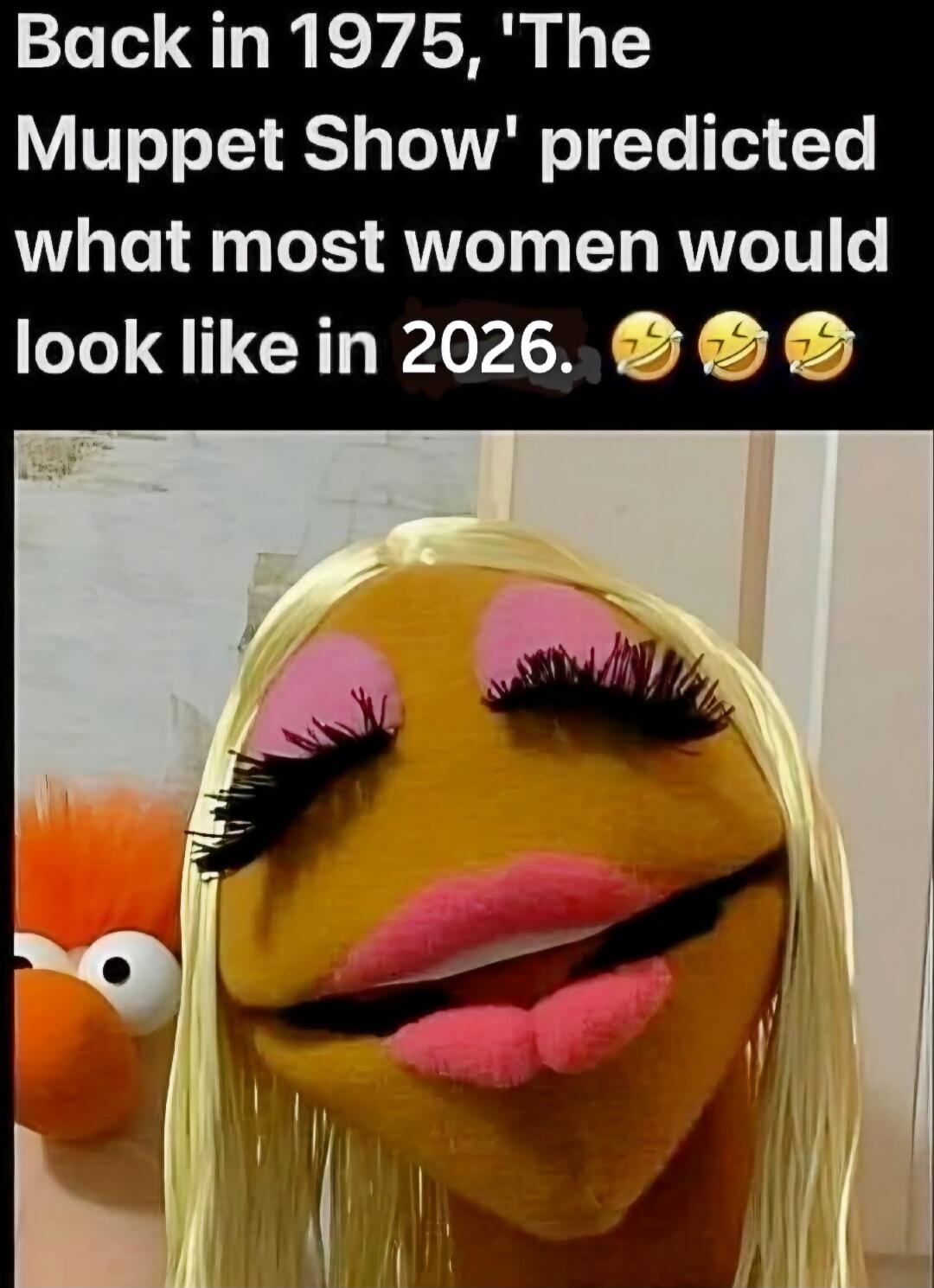 Back in 1975, 'The Muppet Show' predicted what most women would look like in 2026.