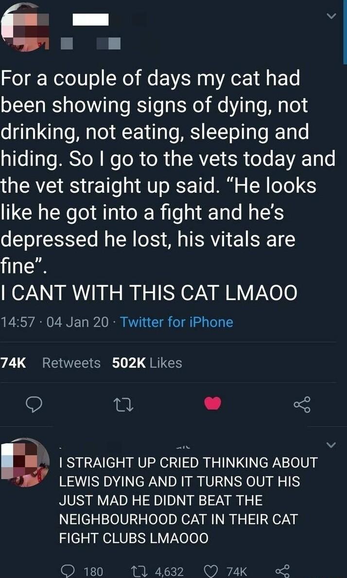L V For a couple of days my cat had been showing signs of dying not drinking not eating sleeping and 1TeTals S ToN e oR oR 3 V1 SR os EVAET o the vet straight up said He looks like he got into a fight and hes depressed he lost his vitals are fine CANT WITH THIS CAT LMAOO 1457 04 Jan 20 Twitter for iPhone 74K Retweets 502K Likes Q L 3 k STRAIGHT UP CRIED THINKING ABOUT LEWIS DYING AND IT TURNS OUT 