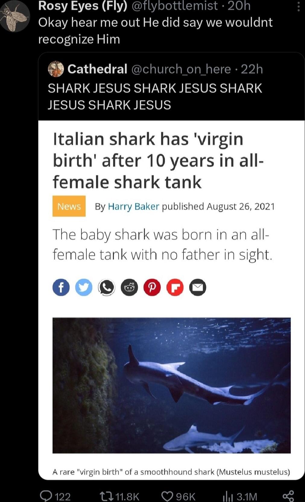 54 RosyEyes Fly Okay hear me out He did say we wouldnt recognize Him 9 cathedral SHARK JESUS SHARK JESUS SHARK JESUS SHARK JESUS Italian shark has virgin birth after 10 years in all female shark tank A rare irgin birth of a smoathhound shark Mustelus mustelus