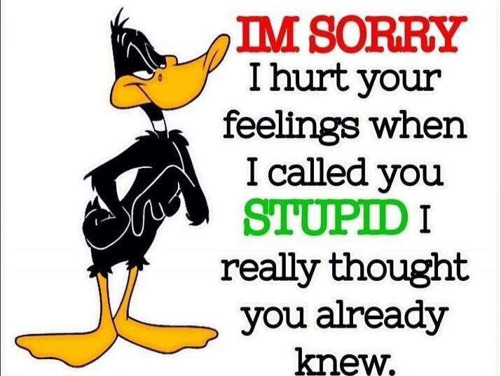 I'M SORRY I hurt your feelings when I called you STUPID I really thought you already knew.