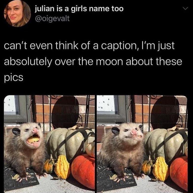 4 julian is a girls name too YW oigevalt cant even think of a caption Im just absolutely over the moon about these pics